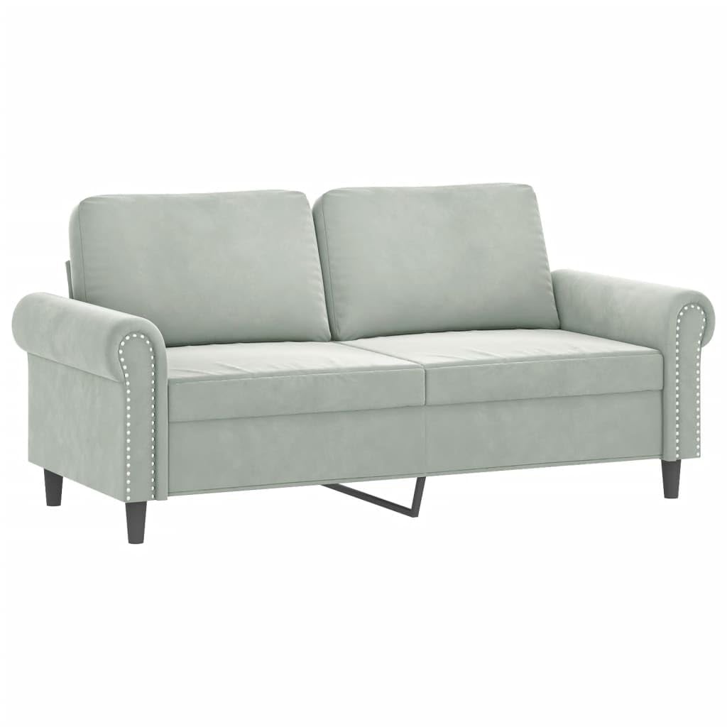 Light Gray Velvet 2 Piece Sofa Set with Throw Pillows X938