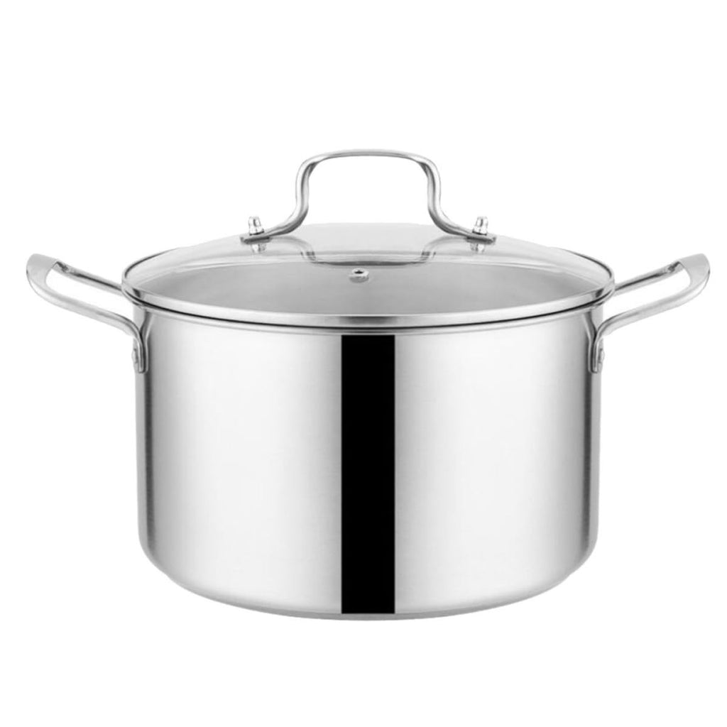 Stainless Steel Stockpot D334134