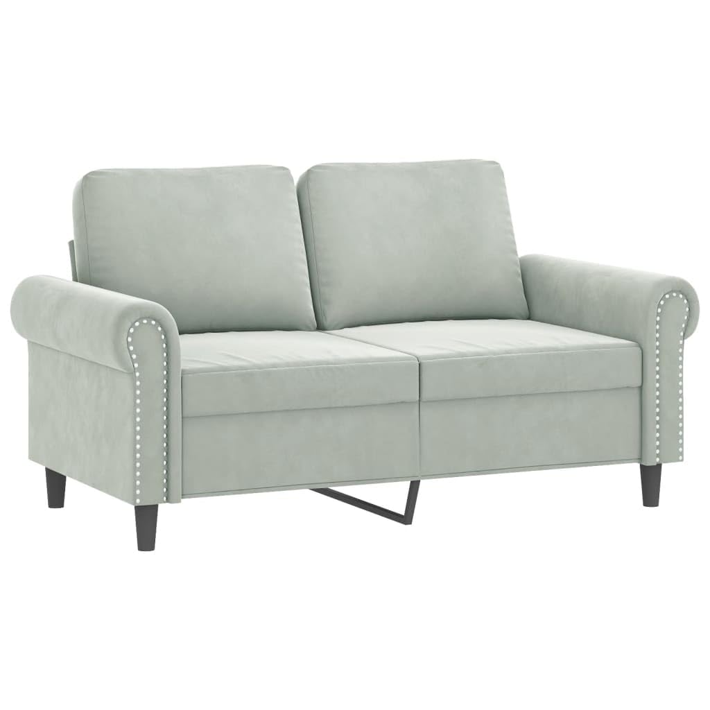 Light Gray Velvet 2 Piece Sofa Set with Throw Pillows X938
