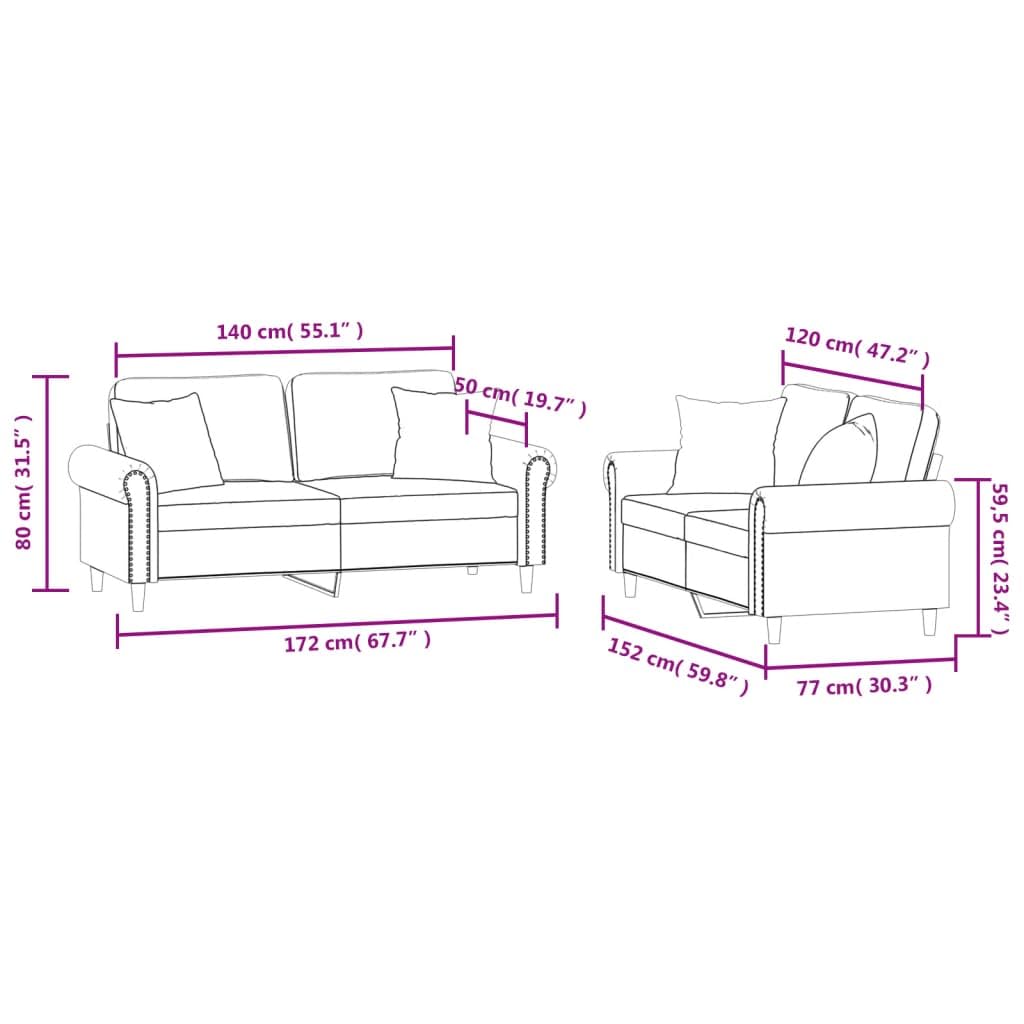 Light Gray Velvet 2 Piece Sofa Set with Throw Pillows X938
