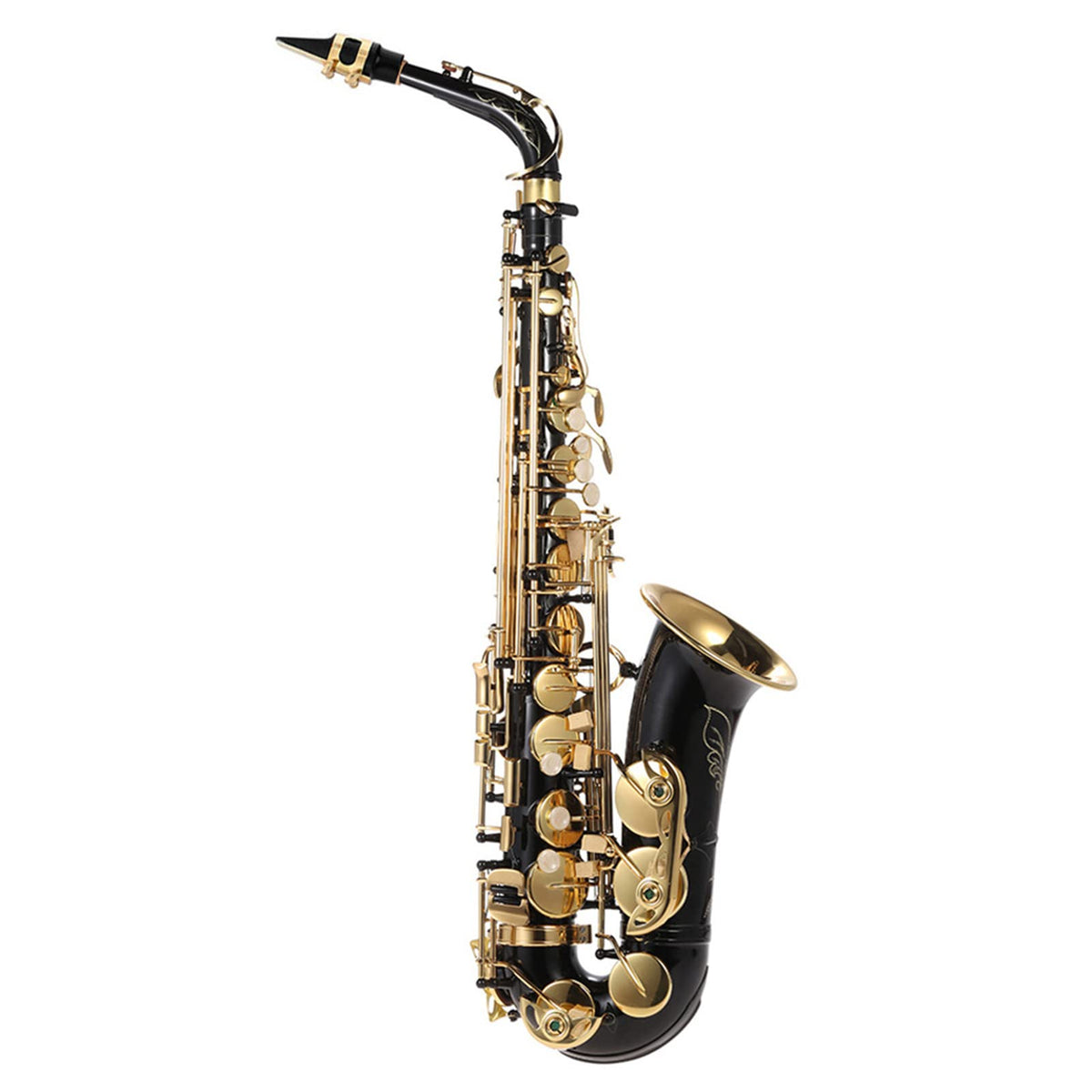 Eb Alto Saxophone Brass Gold Lacquer with Case B210