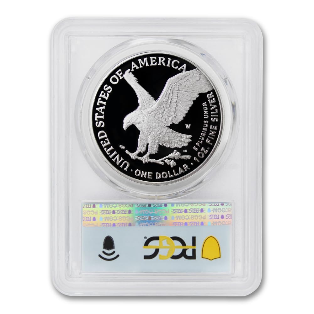 1 oz American Silver Eagle Coin J489