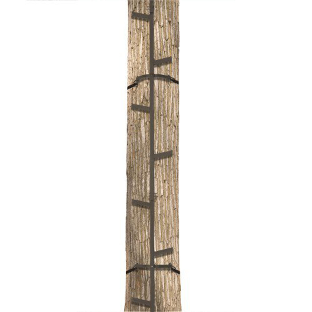 Climbing Ladder Sticks J158