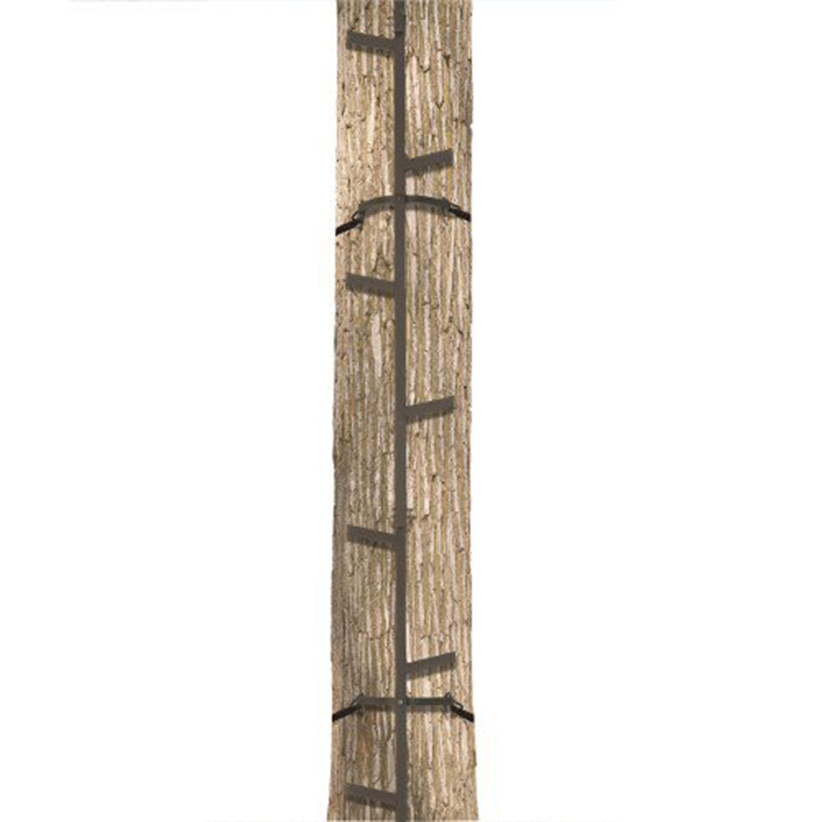 Climbing Ladder Sticks J158