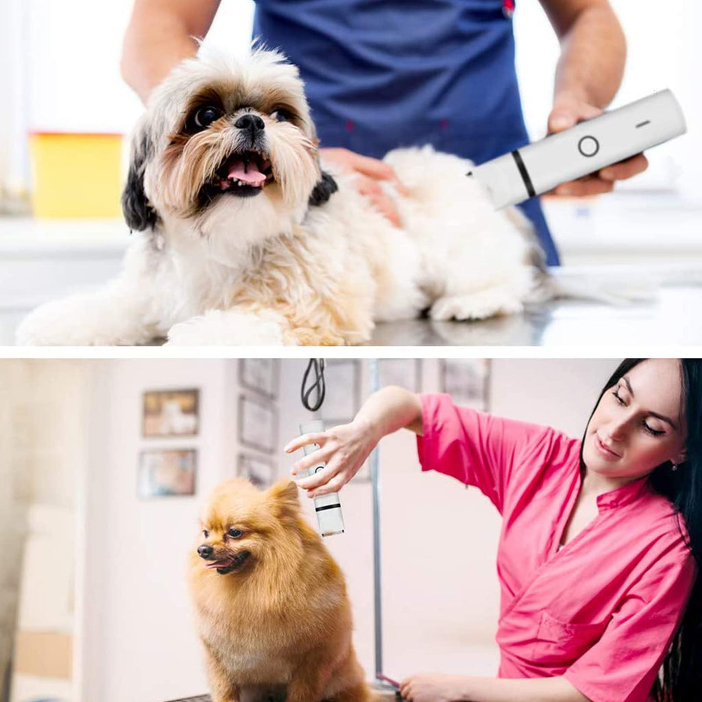 Electric Dog Clippers and Nail Grinder Grooming Kit S888403
