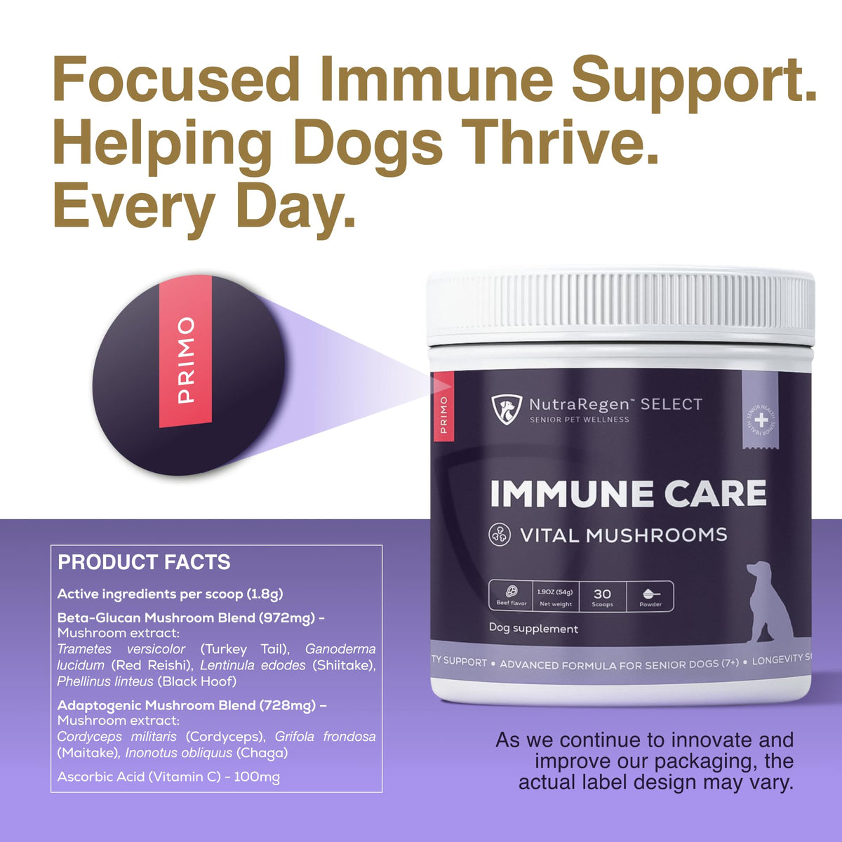 Dog Mushroom Supplement with Turkey Tail V122