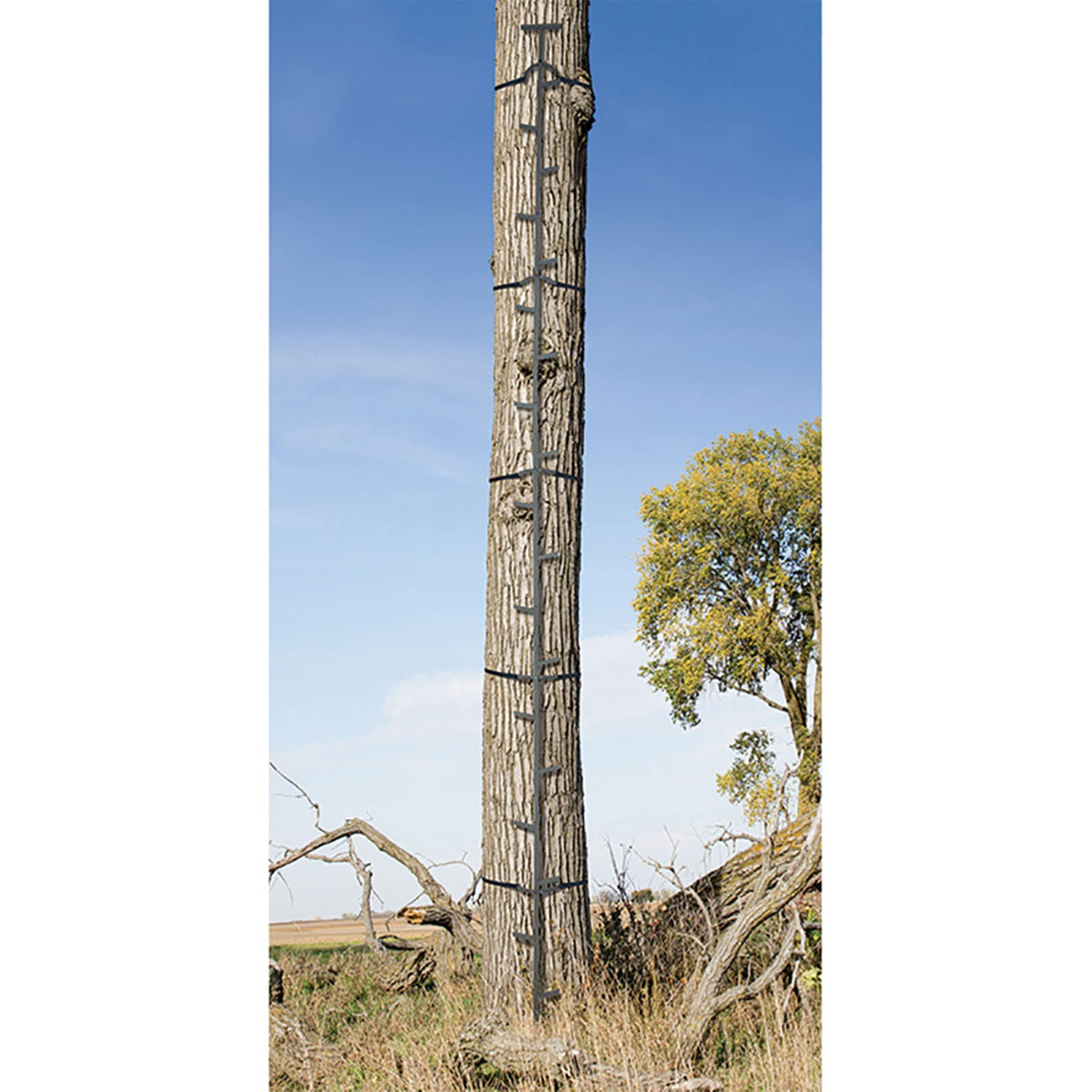 Climbing Ladder Sticks J158