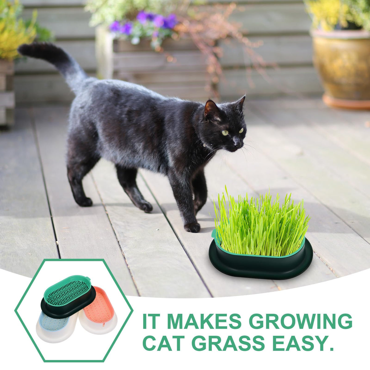 3 Piece Cat Grass Planter Kit V34013