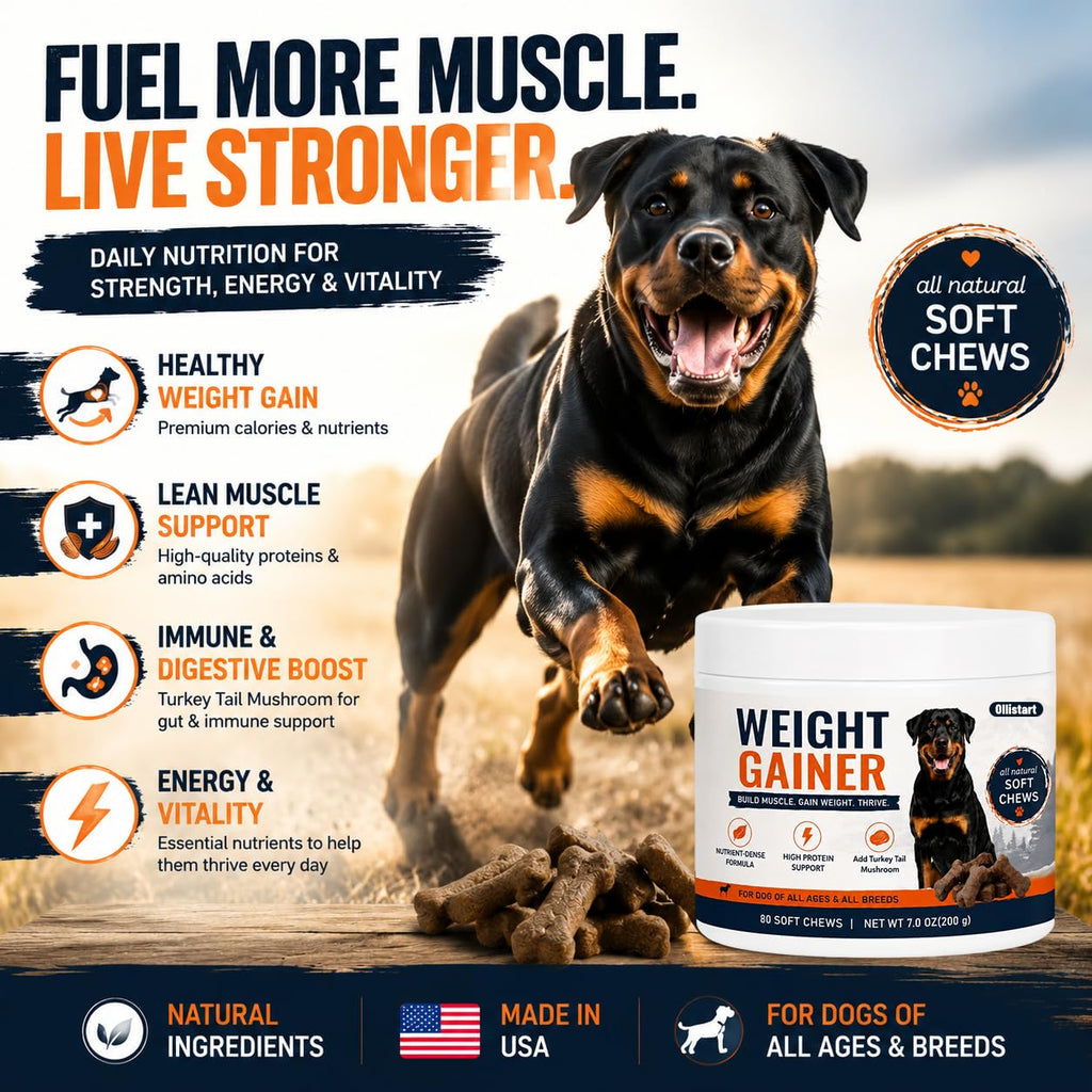 High Calorie Dog Weight Gainer Chews E1754