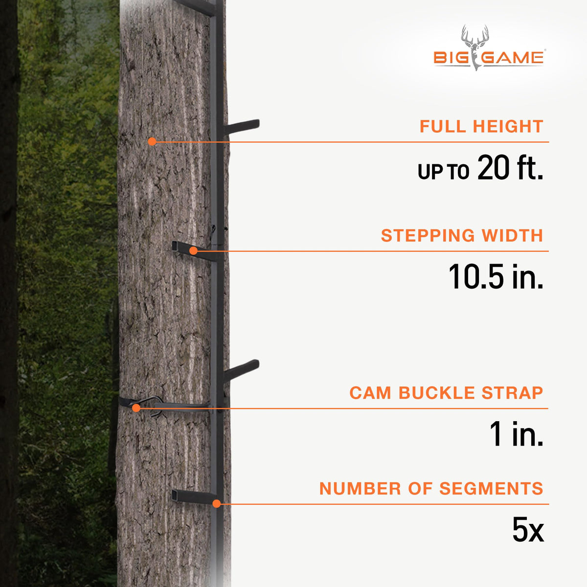 Climbing Ladder Sticks J158