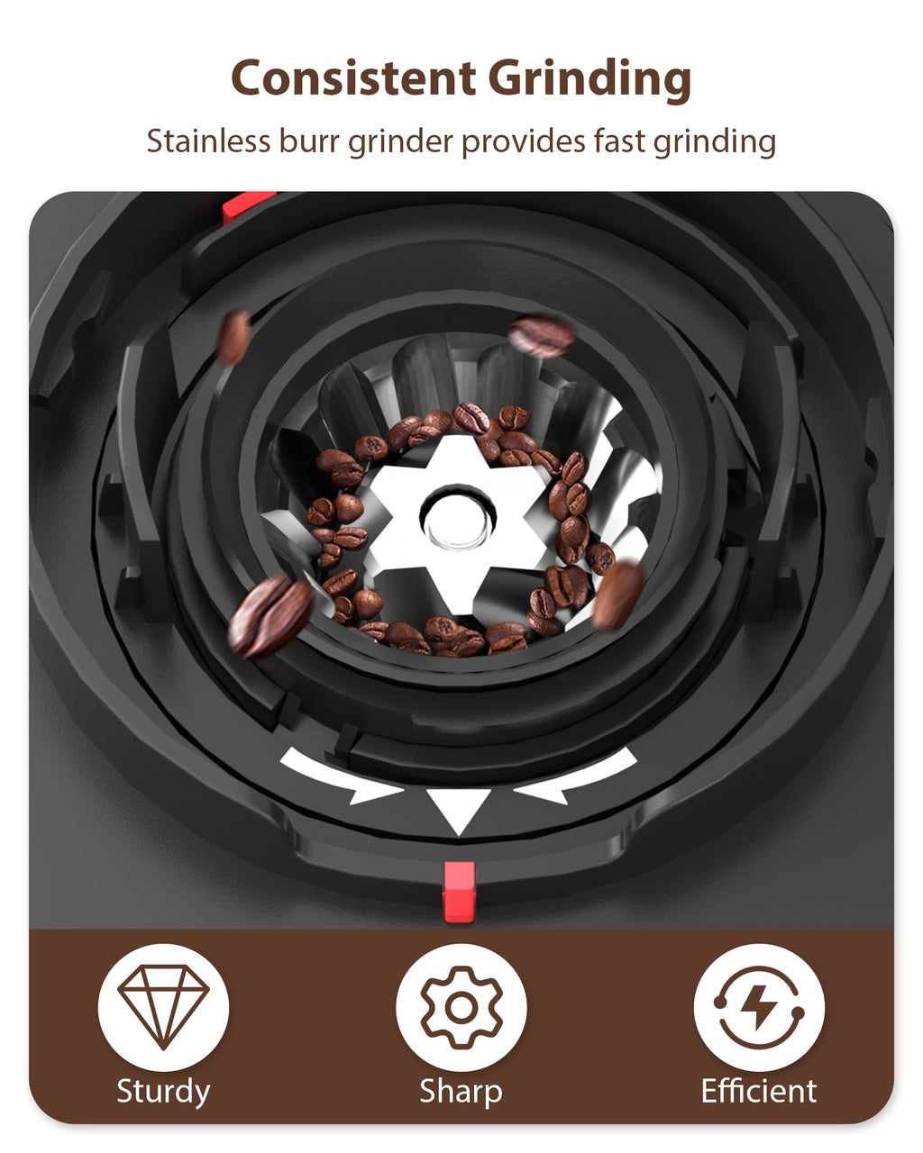 Black Burr Coffee Grinder R369541