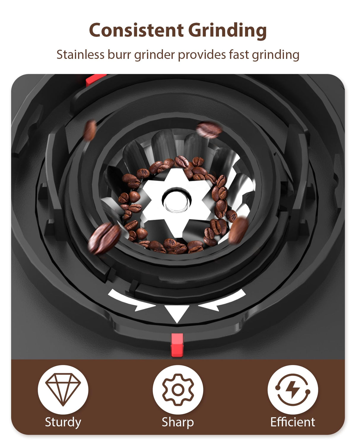 Black Burr Coffee Grinder R369541