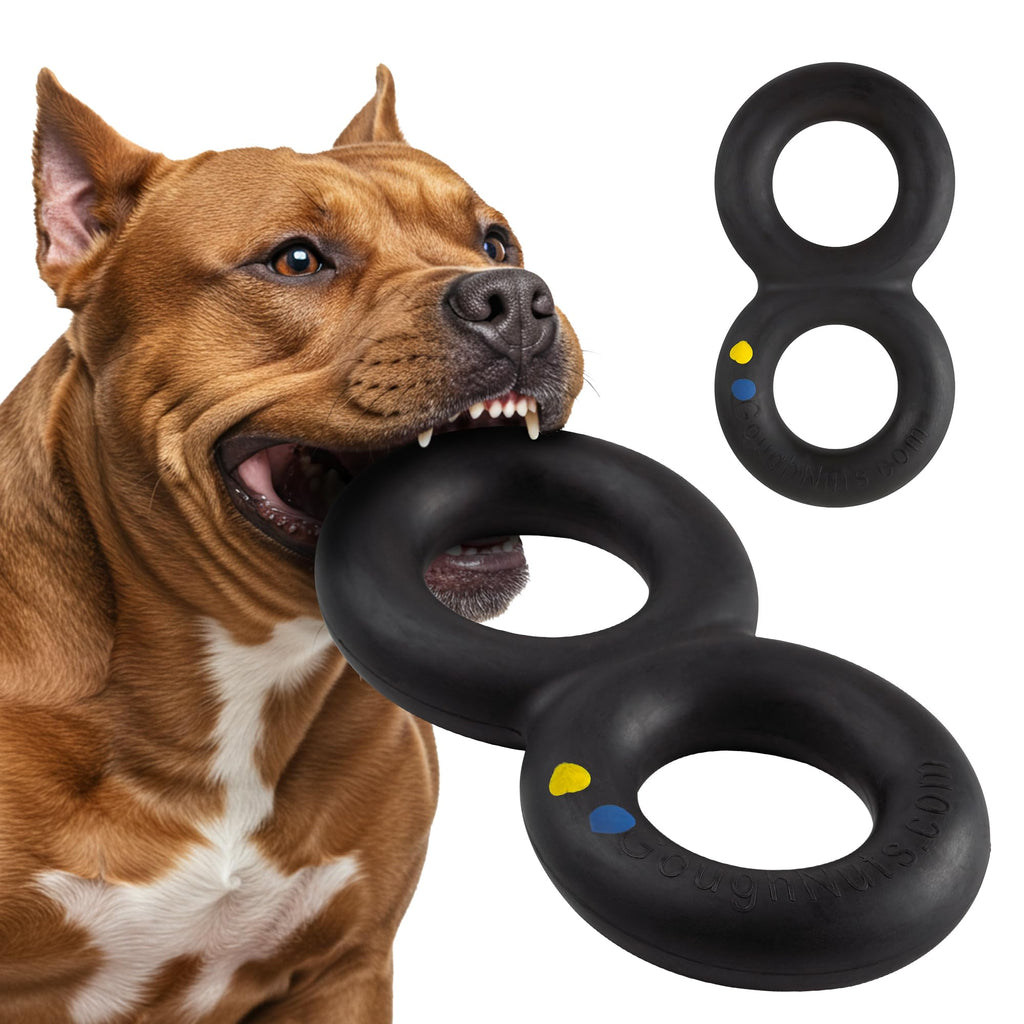 Black Heavy Duty Tug Dog Toy B6102