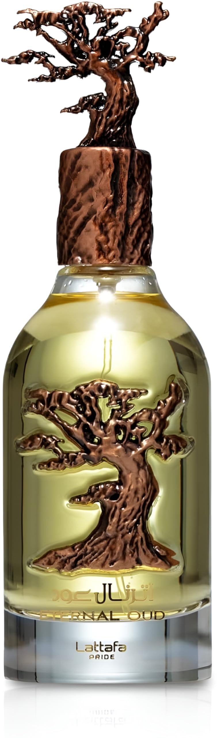 Oud Eau De Parfum Spray 3.4 Ounce F325