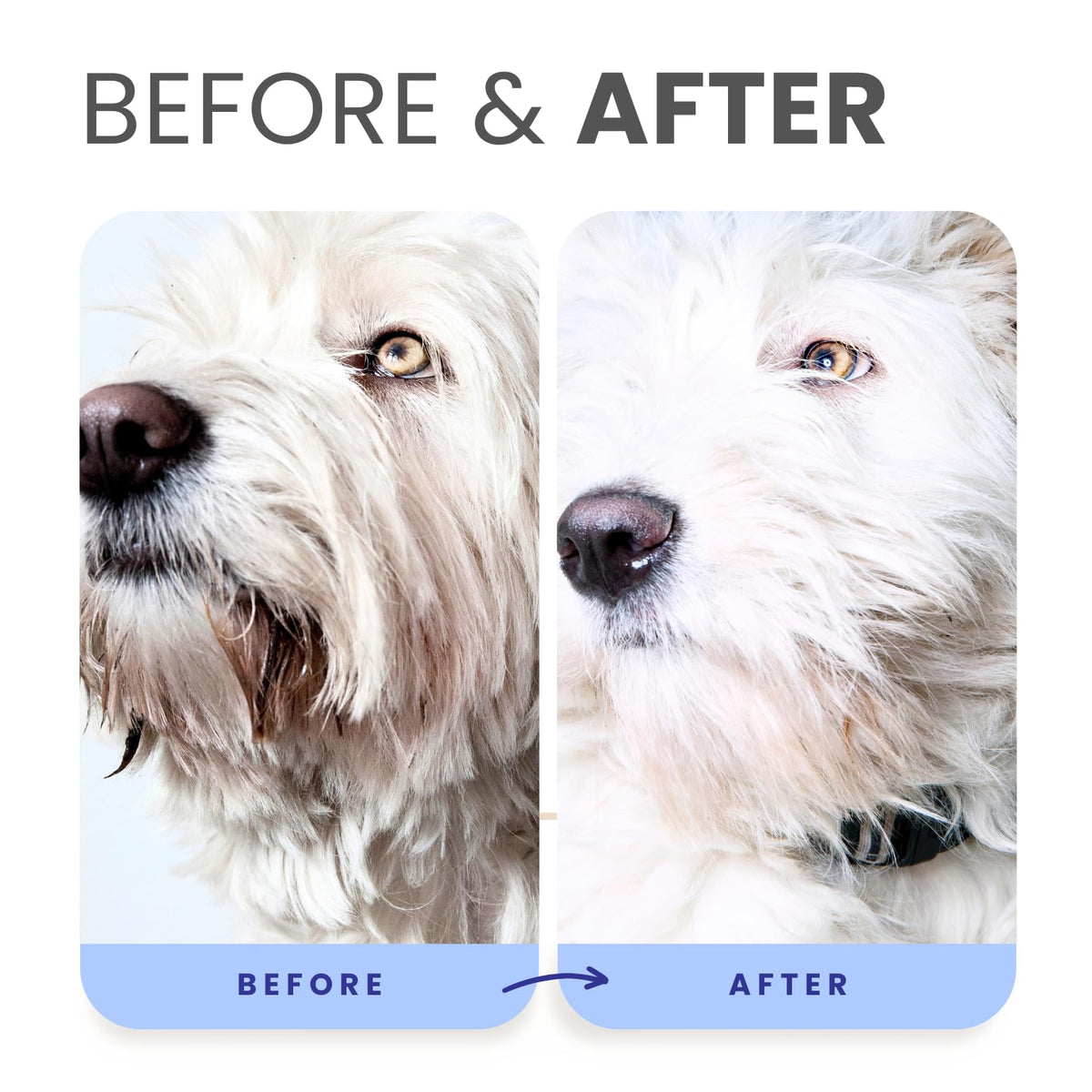 Berry Blue Brightening Pet Shampoo 16oz U394777