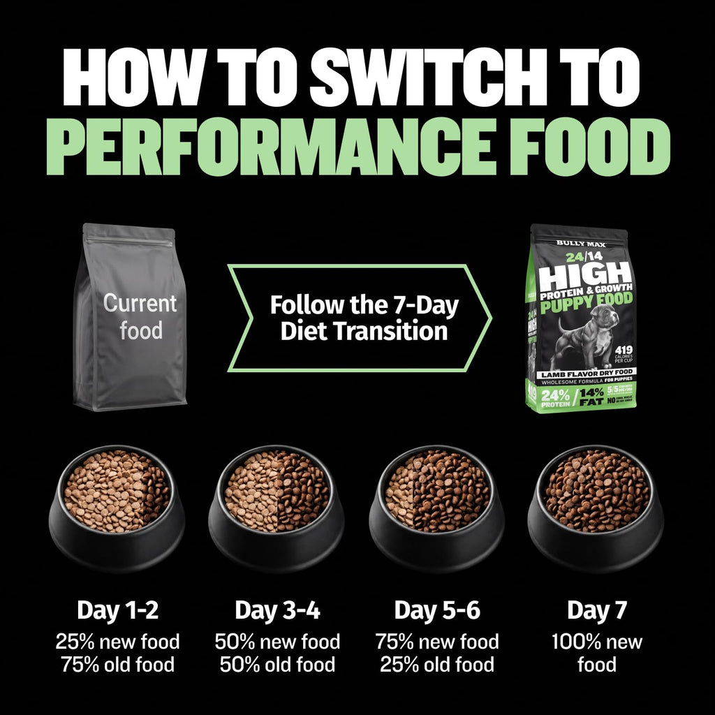 High Protein Lamb and Rice Dry Dog Food for Puppies, 5 lb Bag I764