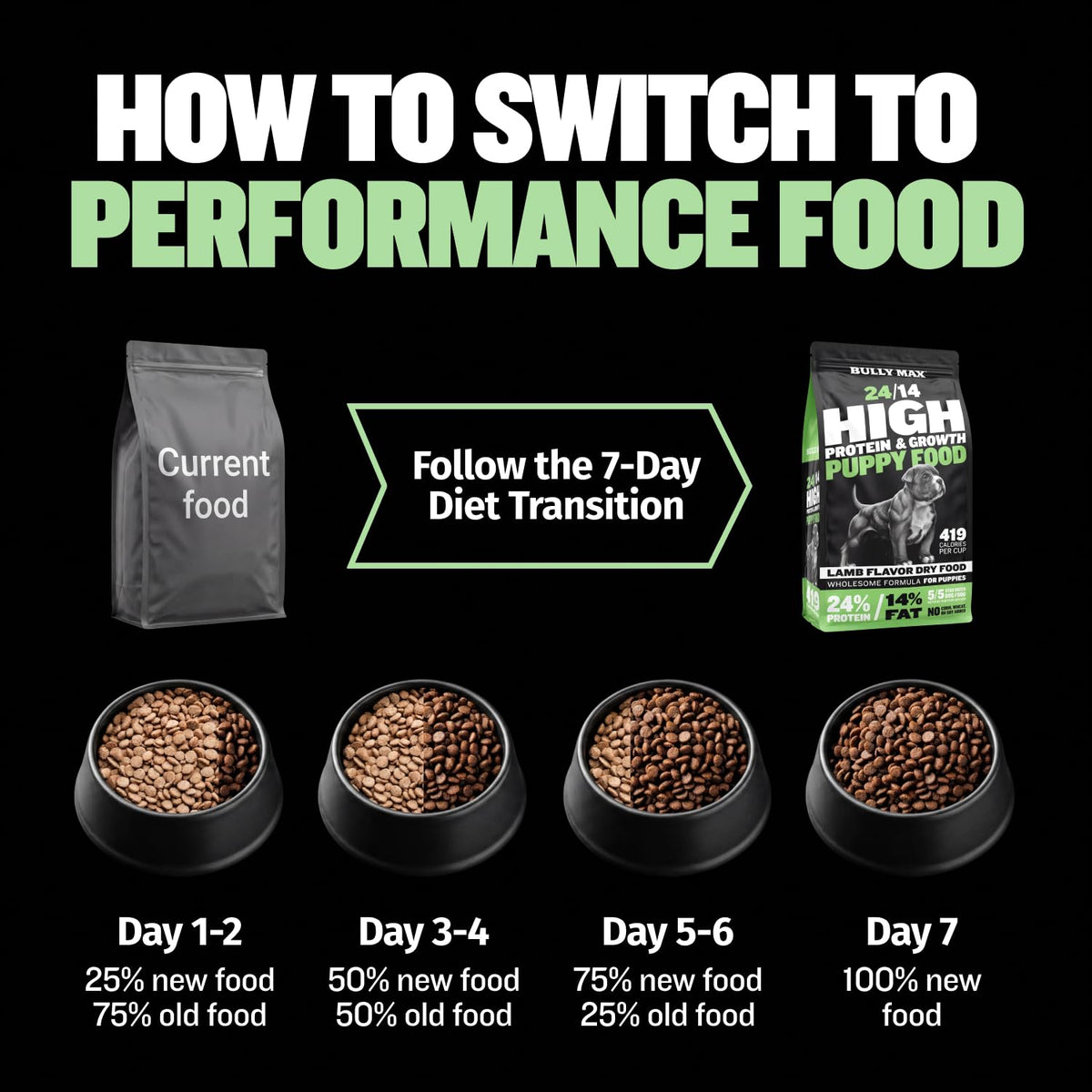 High Protein Lamb and Rice Dry Dog Food for Puppies, 5 lb Bag I764