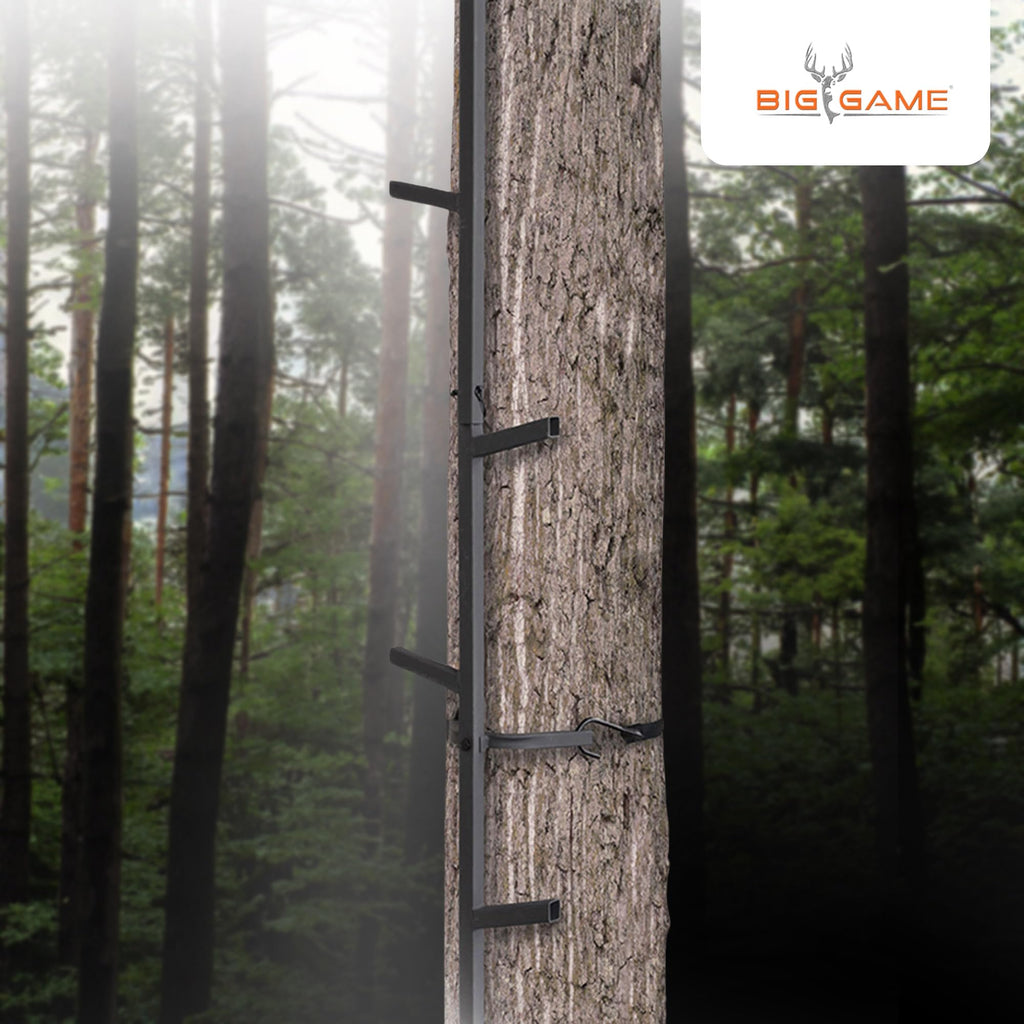 Climbing Ladder Sticks J158
