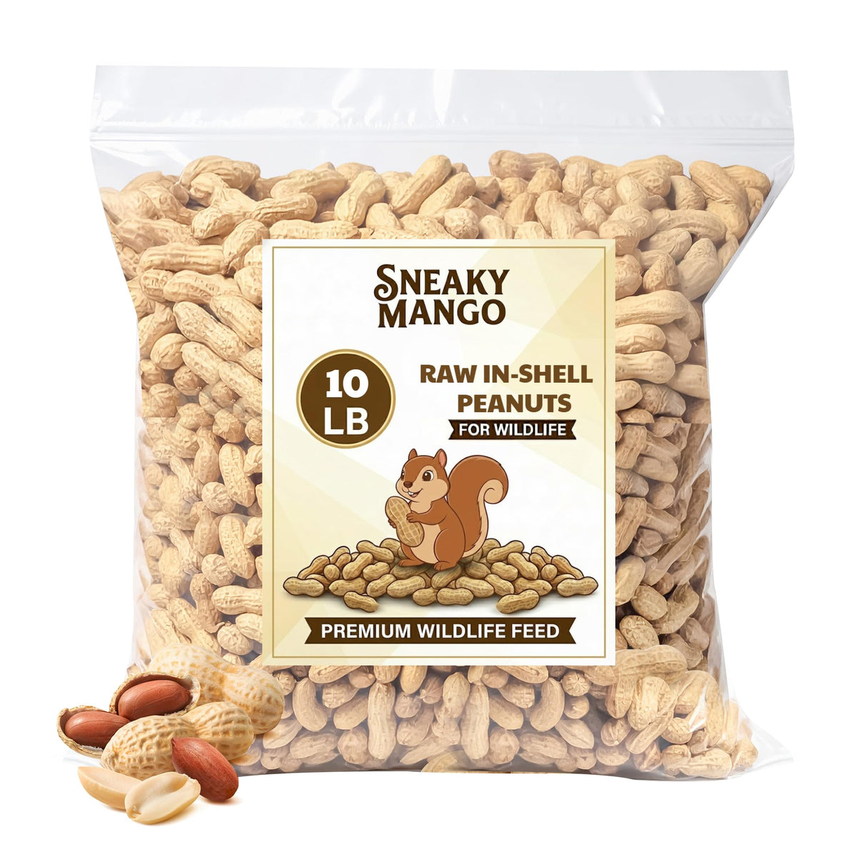 Raw Peanuts in Shell 10 Pounds S1692