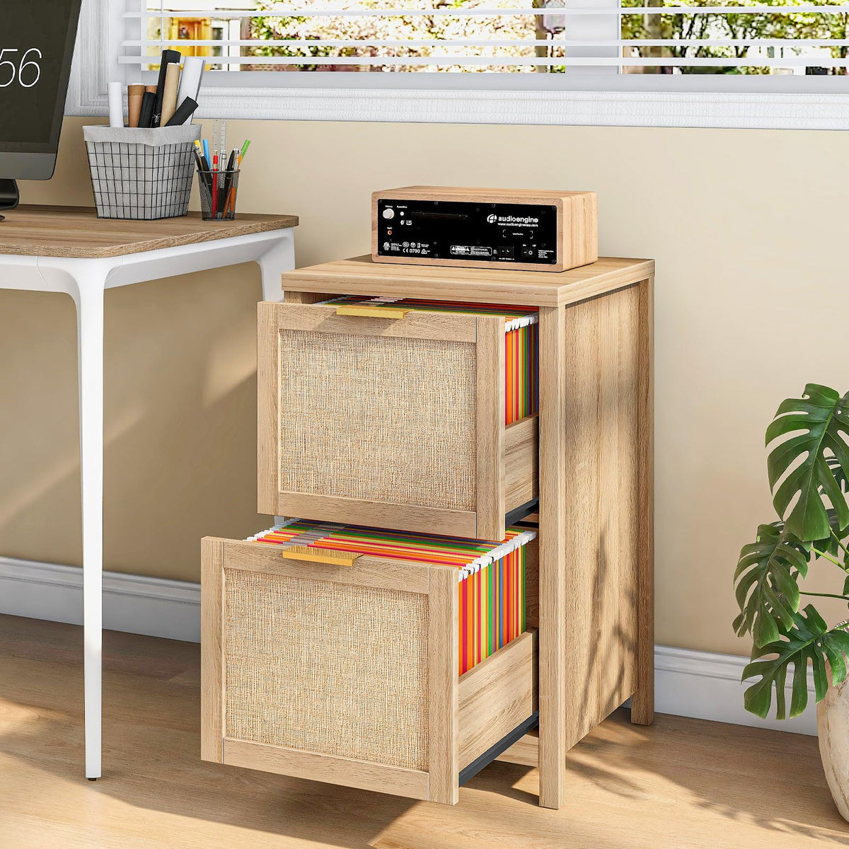 2-Drawer Rattan File Cabinet J5465