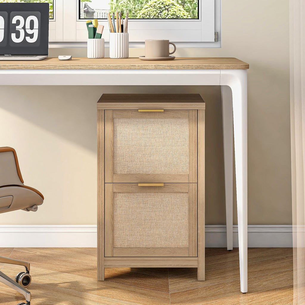 2-Drawer Rattan File Cabinet J5465