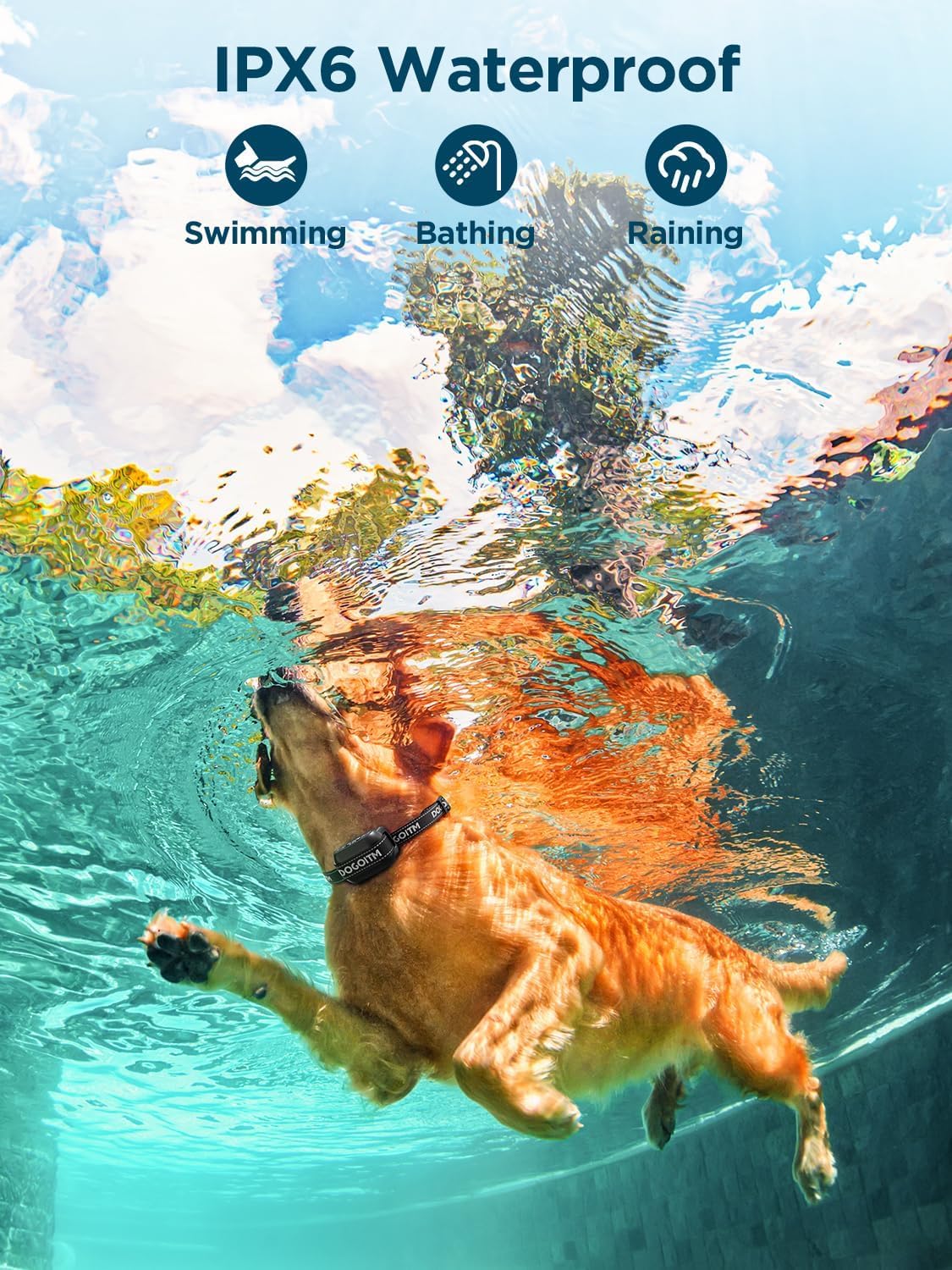 Wireless GPS Dog Fence IPX7 Waterproof R856