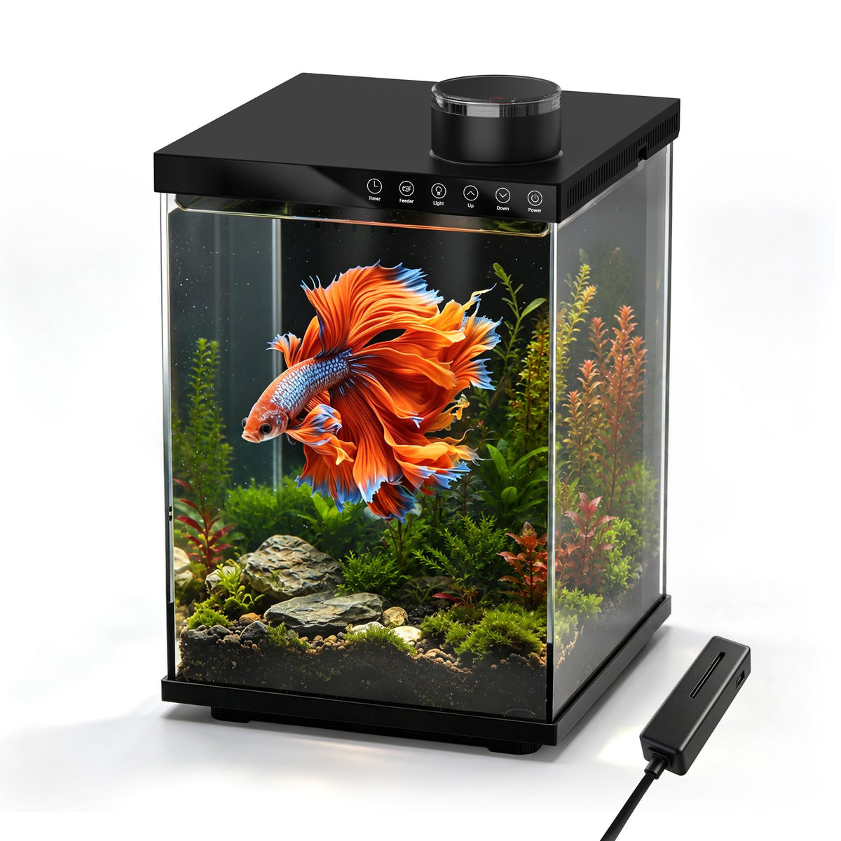 4 Gallon Ultra-Clear Glass Aquarium Kit with Auto Feeder G445