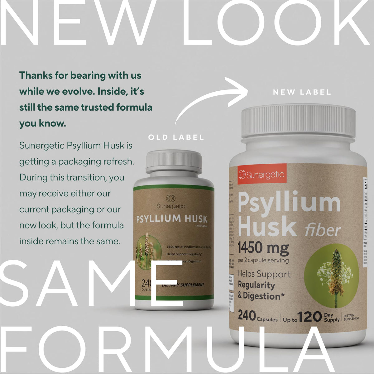 Psyllium Husk Fiber Supplement 1450mg 240 Capsules C4126