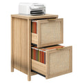 2-Drawer Rattan File Cabinet J5465
