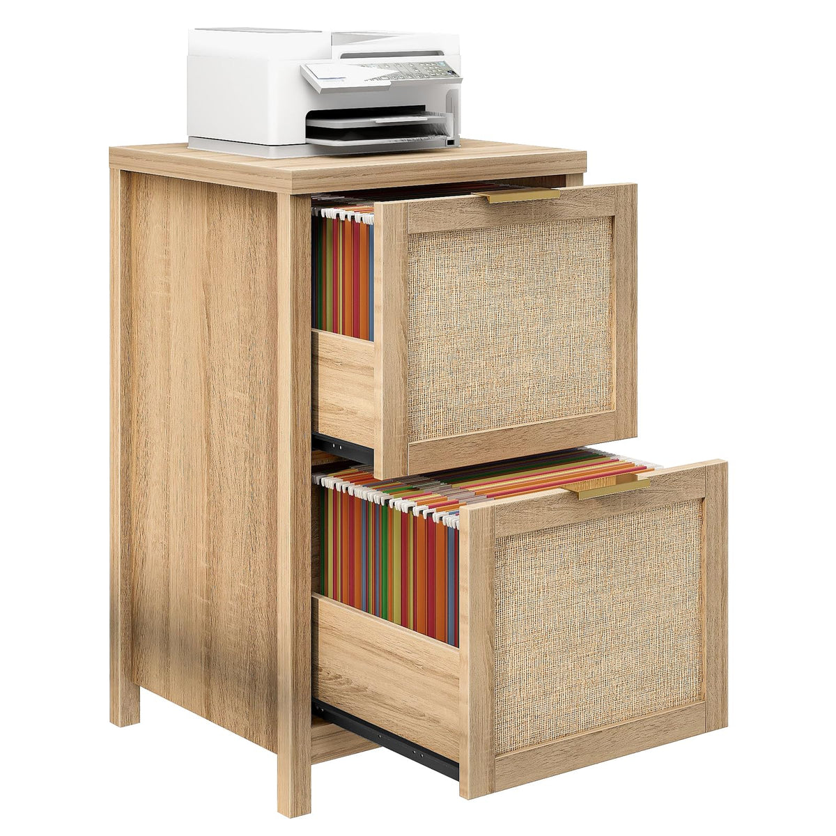 2-Drawer Rattan File Cabinet J5465