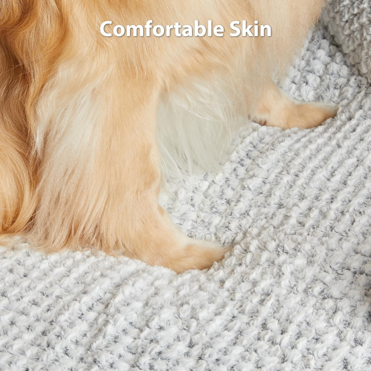 Washable Orthopedic Dog Bed D410