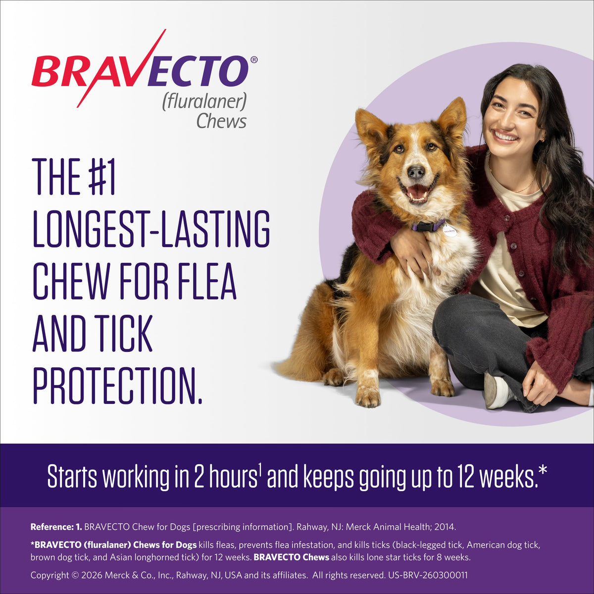 Flea & Tick Chew for Dogs 4.4-9.9 lbs H322