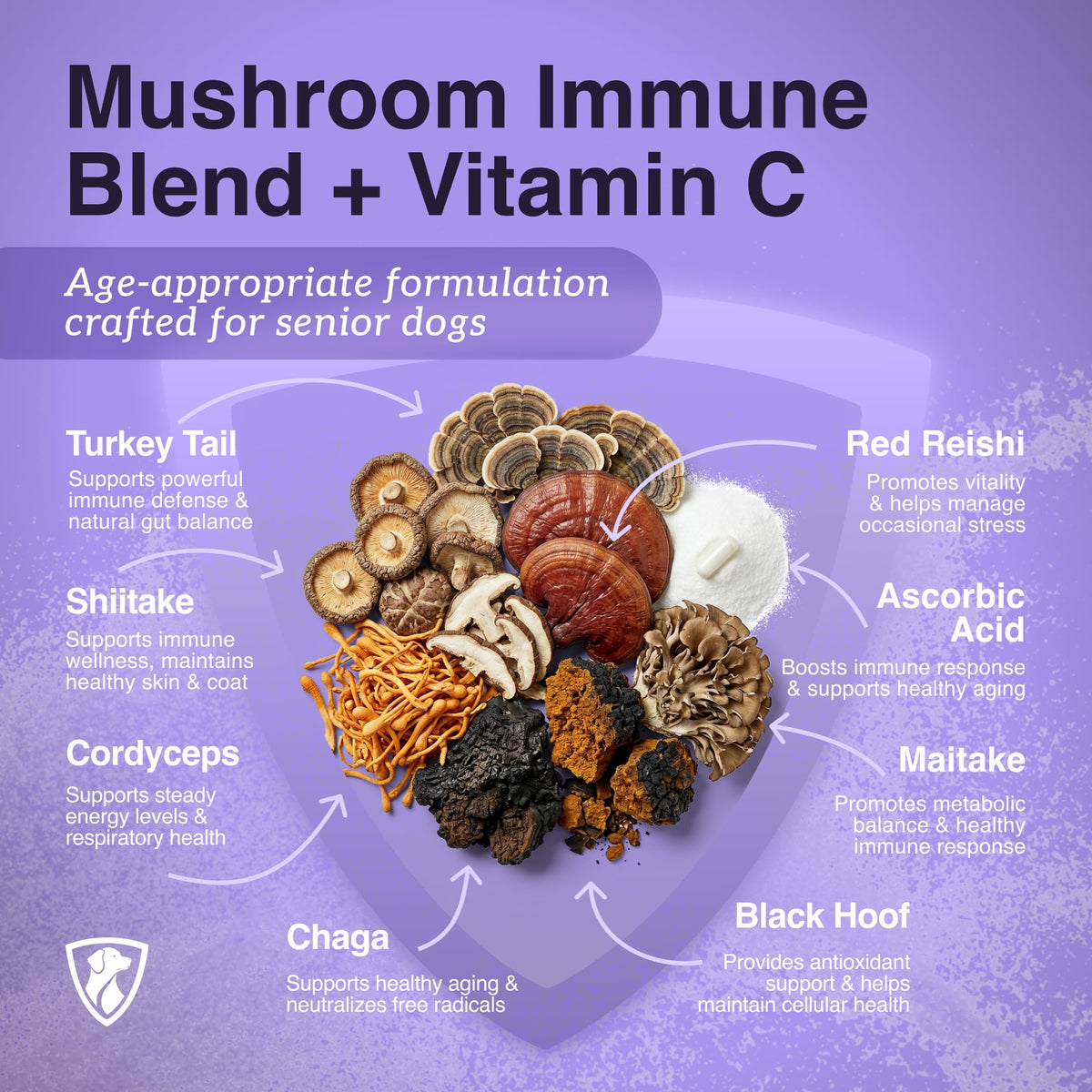 Dog Mushroom Supplement with Turkey Tail V122