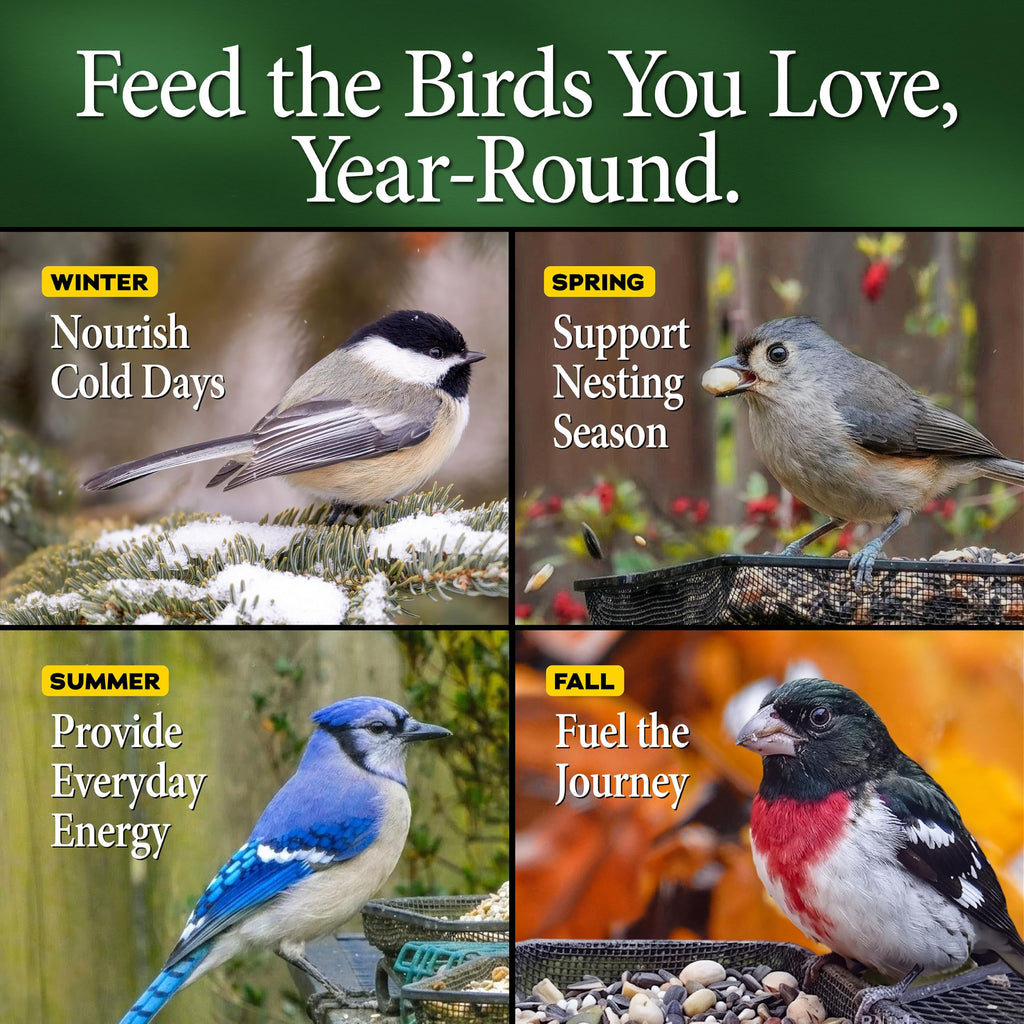 20 lb Nut N-Berry Birdfood V811417