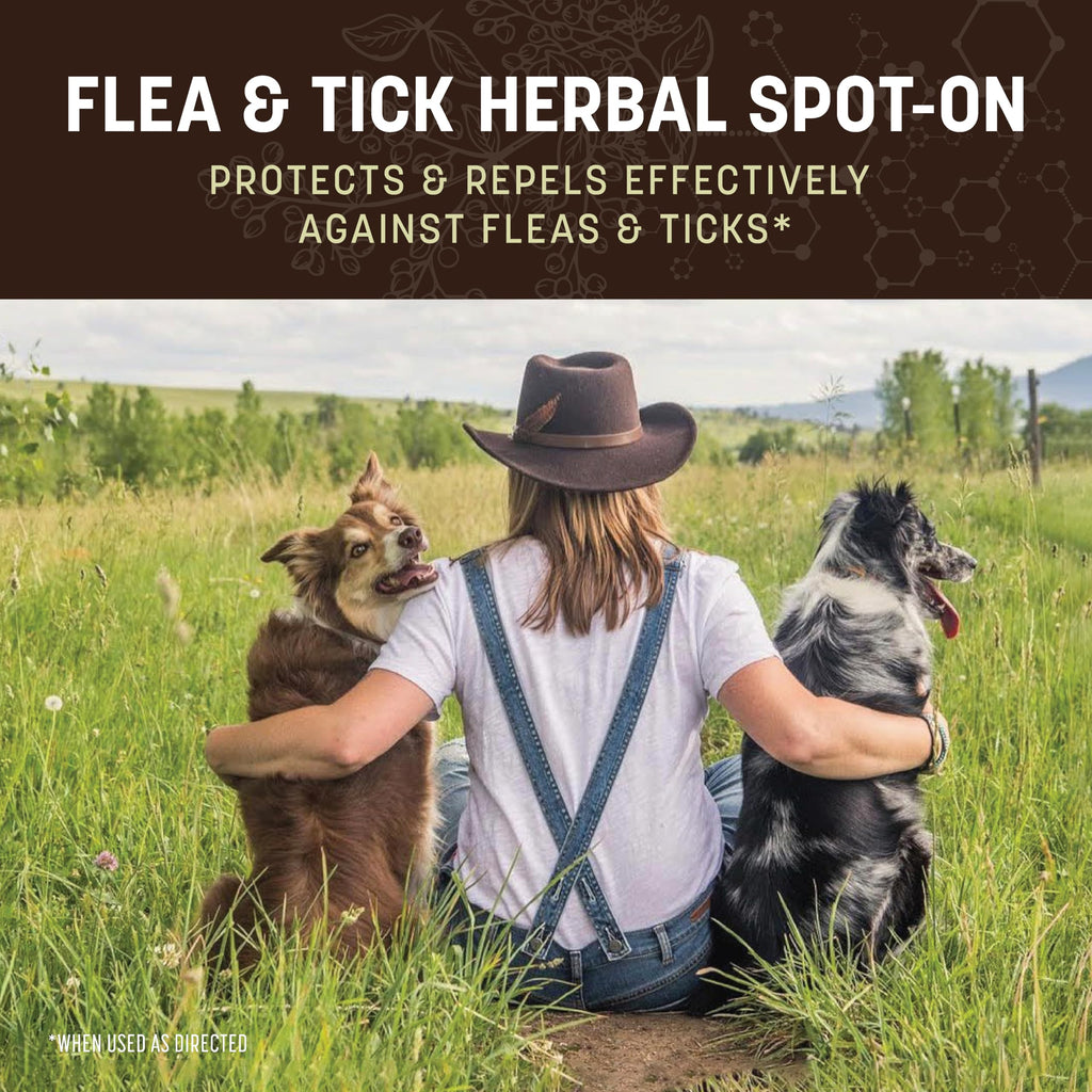 Herbal Spot-On for Medium Dogs O8057